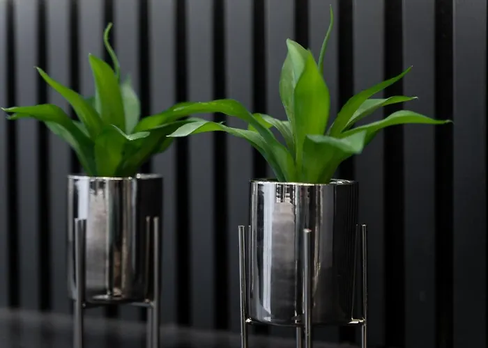 Margi Tokyo Lux Balcony Pool Sauna シュチェチン